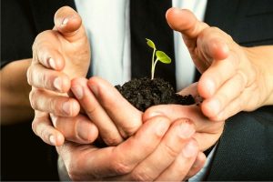 lead nurturing